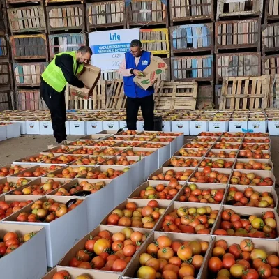 gaza-gallery-9